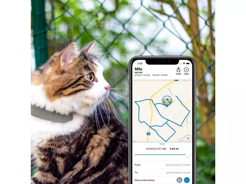 Tractive GPS-Tracker LTE für Katzen 9 Tractive GPS-Tracker LTE für Katzen - Image 9