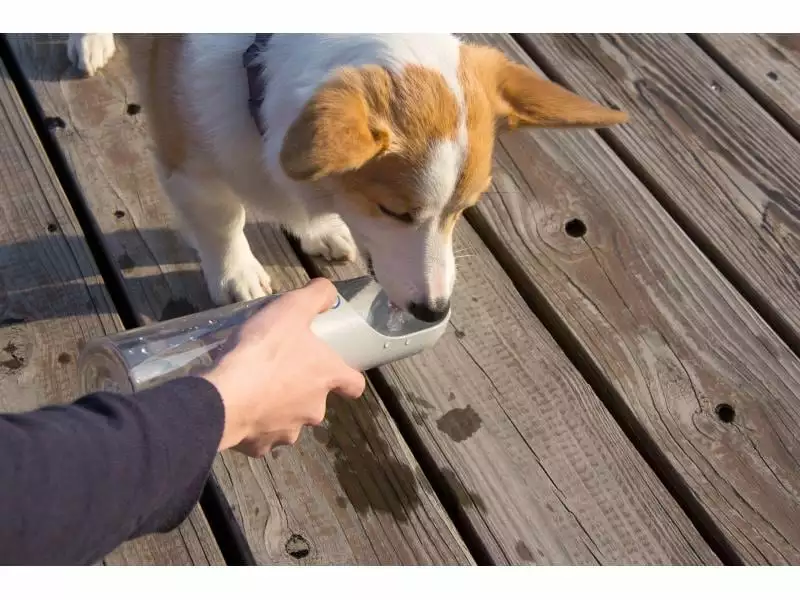 PETKIT Trinkflasche Eversweet, 400 ml 5 PETKIT Trinkflasche Eversweet, 400 ml - Image 5