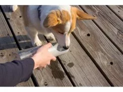 PETKIT Trinkflasche Eversweet, 400 ml 9 PETKIT Trinkflasche Eversweet, 400 ml -Hundewelt Verkäufe 179095994 xxl