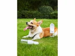 PETKIT Trinkflasche Eversweet, 300 ml 5 PETKIT Trinkflasche Eversweet, 300 ml -Hundewelt Verkäufe 180459974 xxl 1