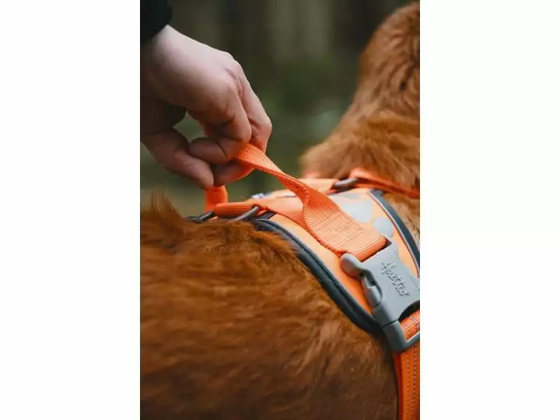 HURTTA Geschirr Weekend Warrior 2 HURTTA Geschirr Weekend Warrior - Image 2