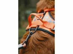 HURTTA Geschirr Weekend Warrior 9 HURTTA Geschirr Weekend Warrior -Hundewelt Verkäufe 180923869 xxl 3