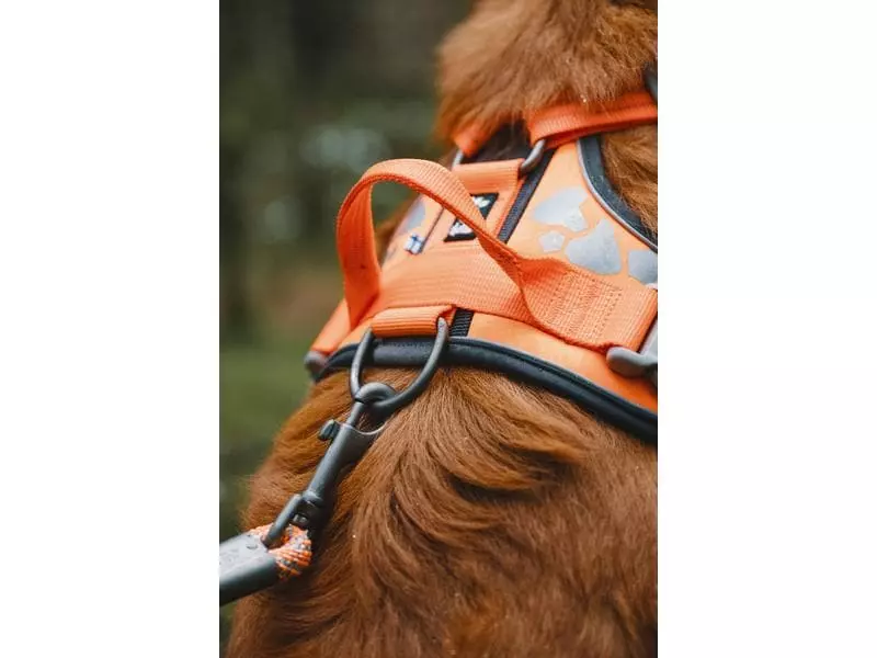 HURTTA Geschirr Weekend Warrior 4 HURTTA Geschirr Weekend Warrior - Image 4