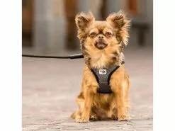 Curli Geschirr Merino XL, Schwarz 15 Curli Geschirr Merino XL, Schwarz -Hundewelt Verkäufe 183389274 xxl