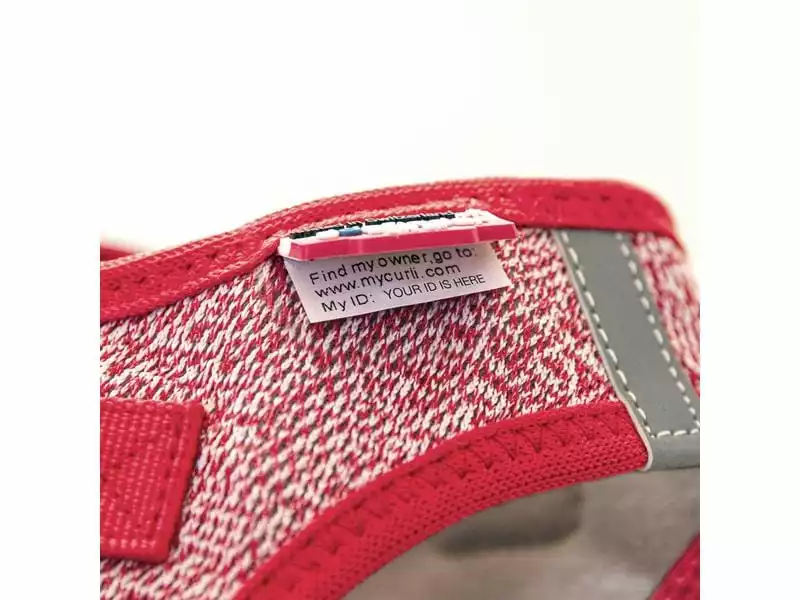 Curli Geschirr Merino XS, Rot 5 Curli Geschirr Merino XS, Rot - Image 5