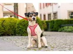 Curli Geschirr Merino XS, Rot 18 Curli Geschirr Merino XS, Rot -Hundewelt Verkäufe 183391649 xxl