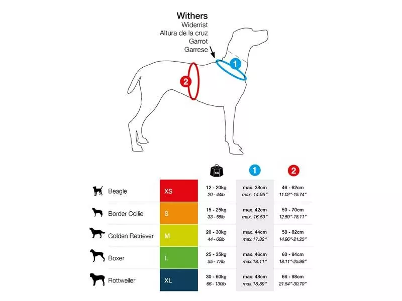 Curli Geschirr Magnetic Belka Comfort XS 2 Curli Geschirr Magnetic Belka Comfort XS - Image 2