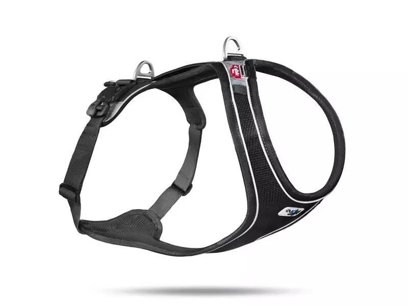 Curli Geschirr Magnetic Belka Comfort XS 1 Curli Geschirr Magnetic Belka Comfort XS