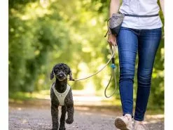 Curli Hundeleine Stretch Comfort ø 10 mm / 1.8 m 5 Curli Hundeleine Stretch Comfort ø 10 mm / 1.8 m -Hundewelt Verkäufe 183401179 xxl 4