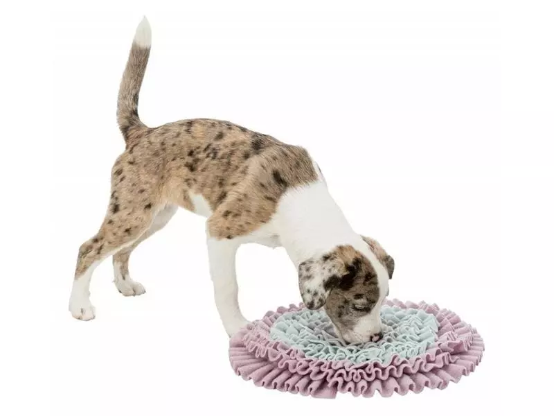 Trixie Junior Schnüffelteppich 3 Trixie Junior Schnüffelteppich - Image 3