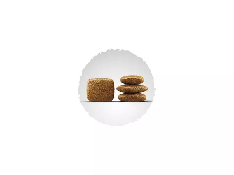 Josera Trockenfutter Geflügel Menü 15 kg 2 Josera Trockenfutter Geflügel Menü 15 kg - Image 2