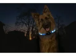 Karlie Leuchtring Visio Light LED Langhaar, blau 10 Karlie Leuchtring Visio Light LED Langhaar, blau -Hundewelt Verkäufe 186297145 xxl