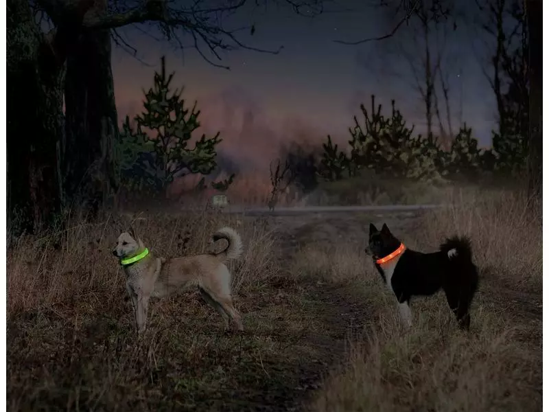 Karlie Leuchtring Visio Light LED Langhaar, gelb 5 Karlie Leuchtring Visio Light LED Langhaar, gelb - Image 5