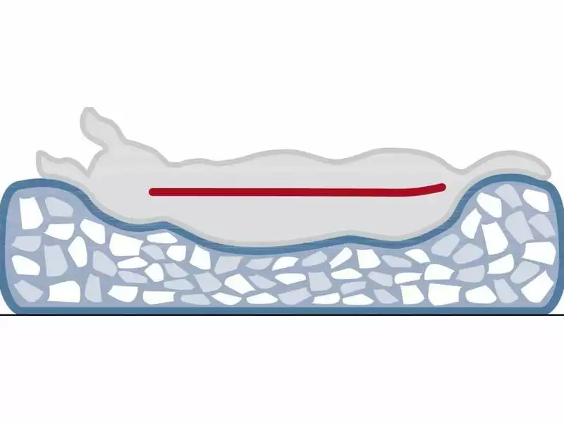 Trixie Hunde-Bett Vital Noah 100 x 70 cm 2 Trixie Hunde-Bett Vital Noah 100 x 70 cm - Image 2