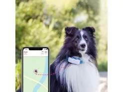 Tractive GPS-Tracker LTE für Hunde, weiss 15 Tractive GPS-Tracker LTE für Hunde, weiss -Hundewelt Verkäufe 189361484 xxl
