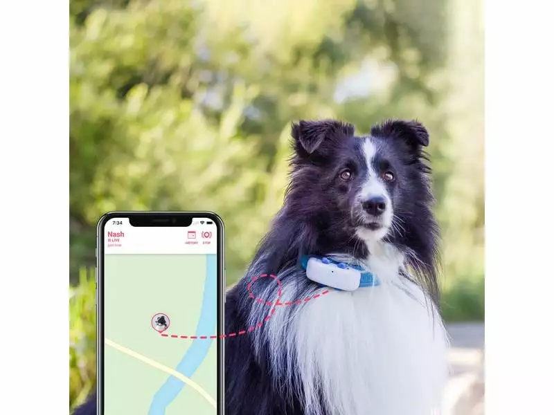Tractive GPS-Tracker LTE für Hunde, weiss 3 Tractive GPS-Tracker LTE für Hunde, weiss - Image 3