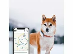 Tractive GPS-Tracker LTE für Hunde, weiss 17 Tractive GPS-Tracker LTE für Hunde, weiss -Hundewelt Verkäufe 189361493 xxl