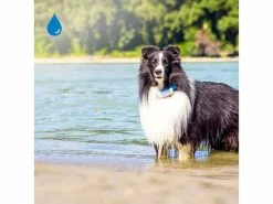 Tractive GPS-Tracker LTE für Hunde, weiss 20 Tractive GPS-Tracker LTE für Hunde, weiss -Hundewelt Verkäufe 189361550 xxl