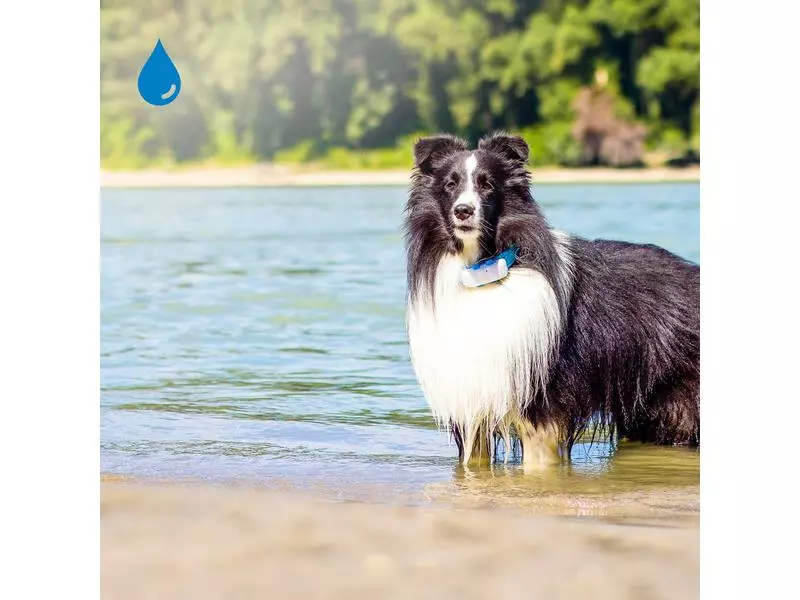 Tractive GPS-Tracker LTE für Hunde, weiss 8 Tractive GPS-Tracker LTE für Hunde, weiss - Image 8