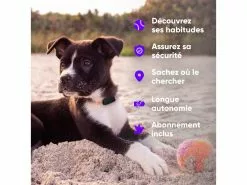 Invoxia Pet GPS-Tracker für Katzen und Hunde -Hundewelt Verkäufe 190385795 xxl