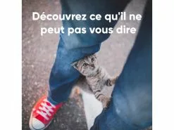 Invoxia Pet GPS-Tracker für Katzen und Hunde -Hundewelt Verkäufe 190385802 xxl