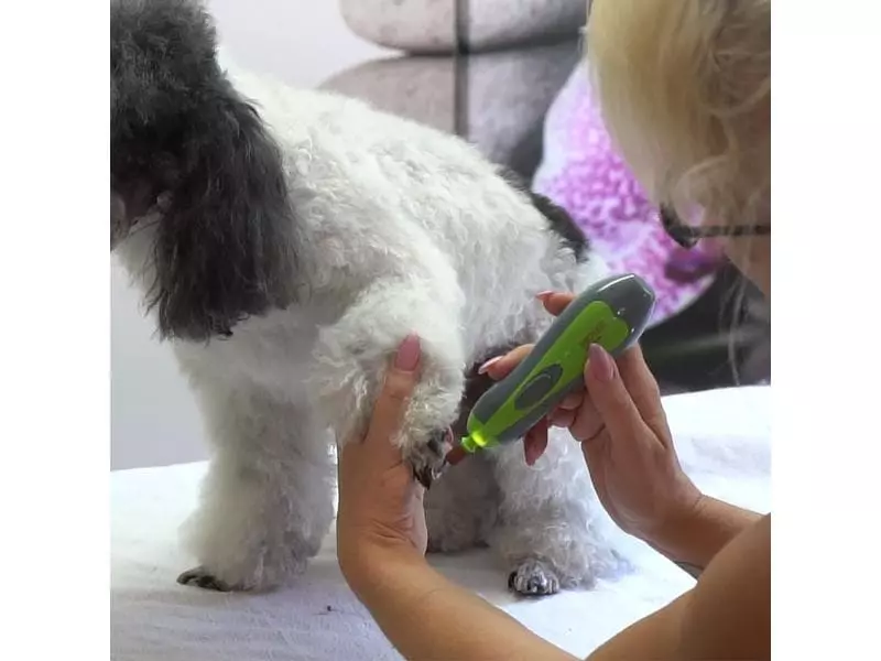 Moser Krallenschleifer kabellos für Hunde & Katzen 2 Moser Krallenschleifer kabellos für Hunde & Katzen - Image 2