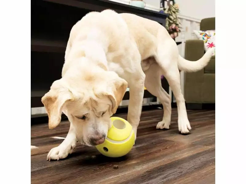 Kong Futterball Rewards Tennis L Ø 14 cm 2 Kong Futterball Rewards Tennis L Ø 14 cm - Image 2