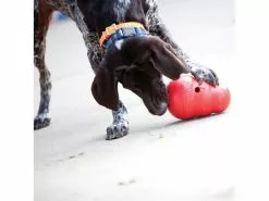 Kong Futterball Wobbler S, 16 cm 5 Kong Futterball Wobbler S, 16 cm -Hundewelt Verkäufe 193435701 xxl