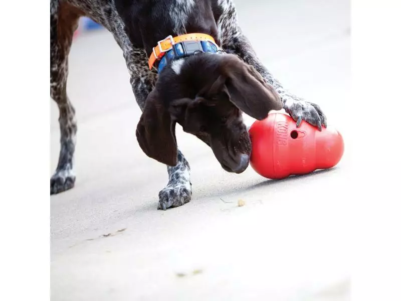 Kong Futterball Wobbler S, 16 cm 3 Kong Futterball Wobbler S, 16 cm - Image 3