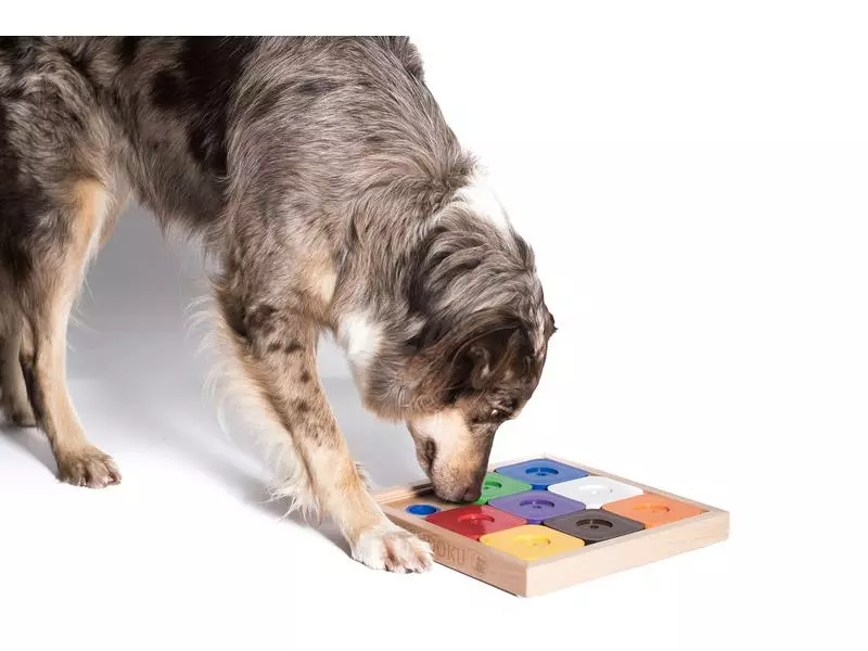 My Intelligent Dogs Strategie-Spiel Sodoku Expert M Rainbow 2 My Intelligent Dogs Strategie-Spiel Sodoku Expert M Rainbow - Image 2