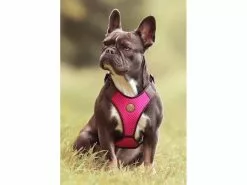 Carolina Corrodi Geschirr French Bulldog, Auckland, Pink 13 Carolina Corrodi Geschirr French Bulldog, Auckland, Pink -Hundewelt Verkäufe 193781262 xxl