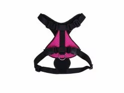 Carolina Corrodi Geschirr French Bulldog, Auckland, Pink 14 Carolina Corrodi Geschirr French Bulldog, Auckland, Pink -Hundewelt Verkäufe 193781264 xxl