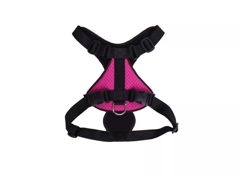 Carolina Corrodi Geschirr French Bulldog, Auckland, Pink 7 Carolina Corrodi Geschirr French Bulldog, Auckland, Pink - Image 7