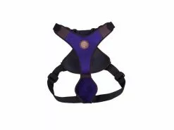 Carolina Corrodi Geschirr French Bulldog, Hobart, Dunkelblau