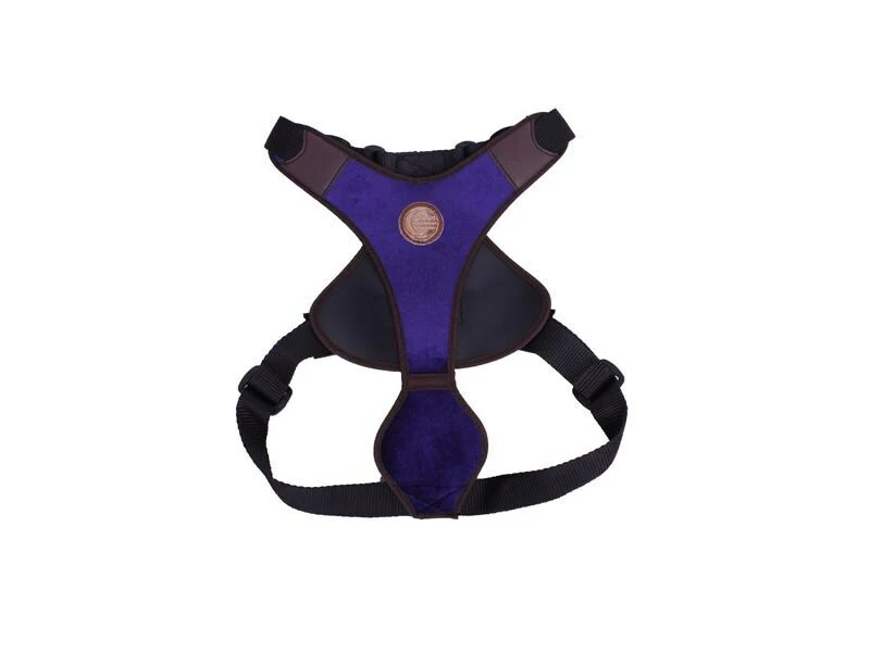 Carolina Corrodi Geschirr French Bulldog, Hobart, Dunkelblau 1 Carolina Corrodi Geschirr French Bulldog, Hobart, Dunkelblau