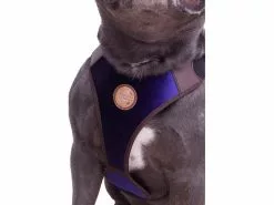 Carolina Corrodi Geschirr French Bulldog, Hobart, Dunkelblau 13 Carolina Corrodi Geschirr French Bulldog, Hobart, Dunkelblau -Hundewelt Verkäufe 193781315 xxl