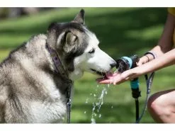 RINSEKIT Mobile Hunde-Dusche 7.4 Liter, Schwarz -Hundewelt Verkäufe 194201443 xxl