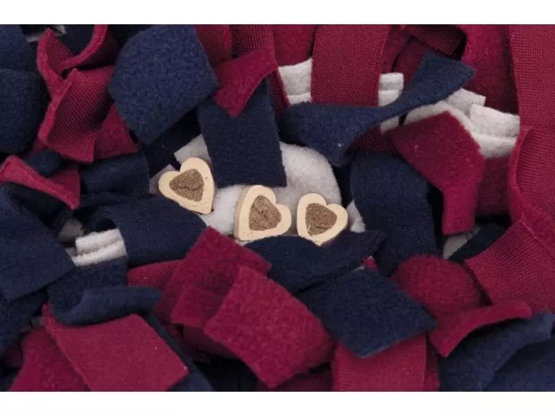 Trixie Strategie-Spiel Activity Schnüffelteppich 2 Trixie Strategie-Spiel Activity Schnüffelteppich - Image 2