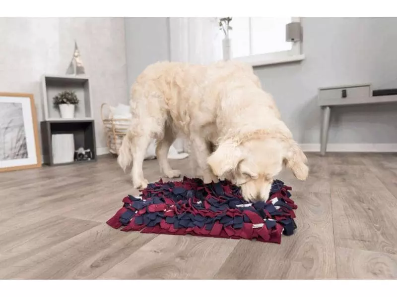 Trixie Strategie-Spiel Activity Schnüffelteppich 4 Trixie Strategie-Spiel Activity Schnüffelteppich - Image 4