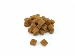 Hundewelt Verkäufe -Hundewelt Verkäufe 194382356 xxl