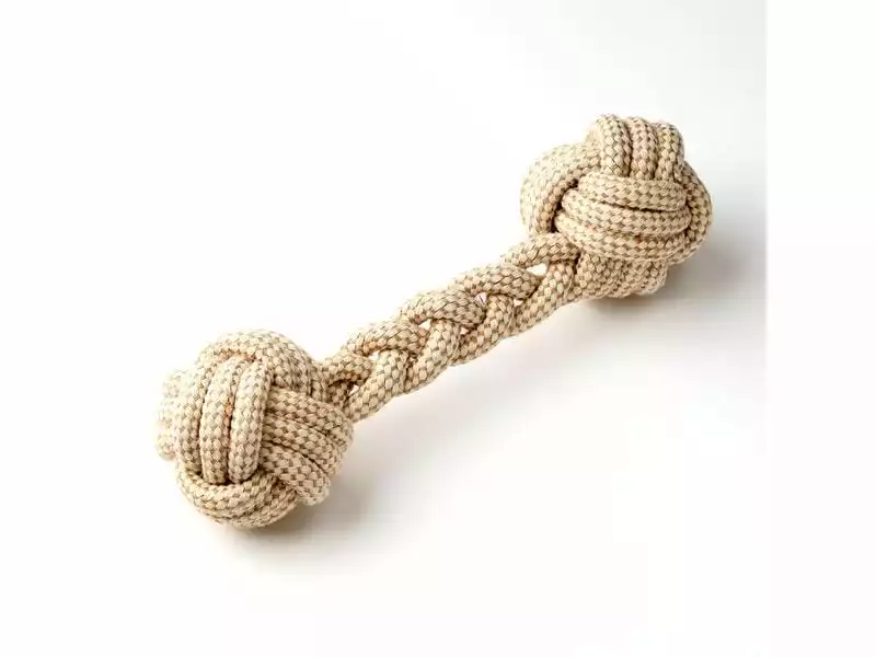 Anijoy Hunde-Spielzeug Dumble 1 Anijoy Hunde-Spielzeug Dumble