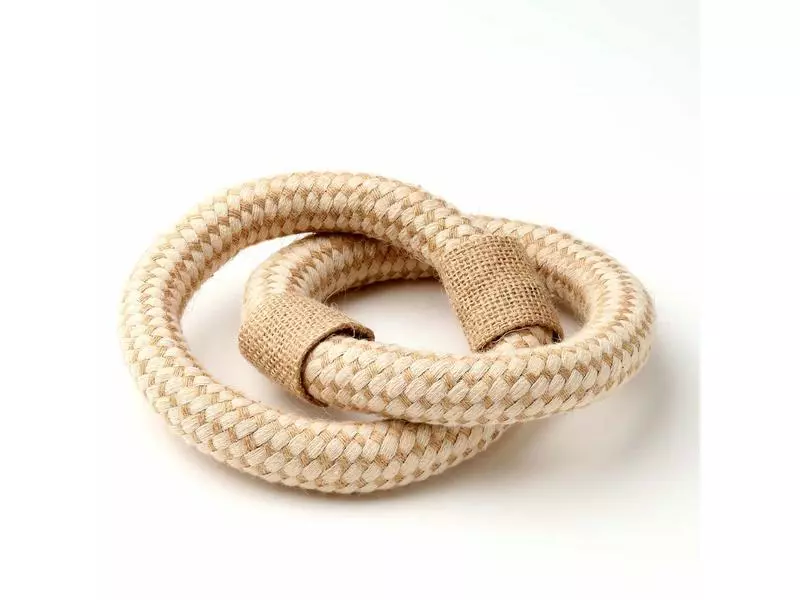 Anijoy Hunde-Spielzeug RingRing 3 Anijoy Hunde-Spielzeug RingRing - Image 3