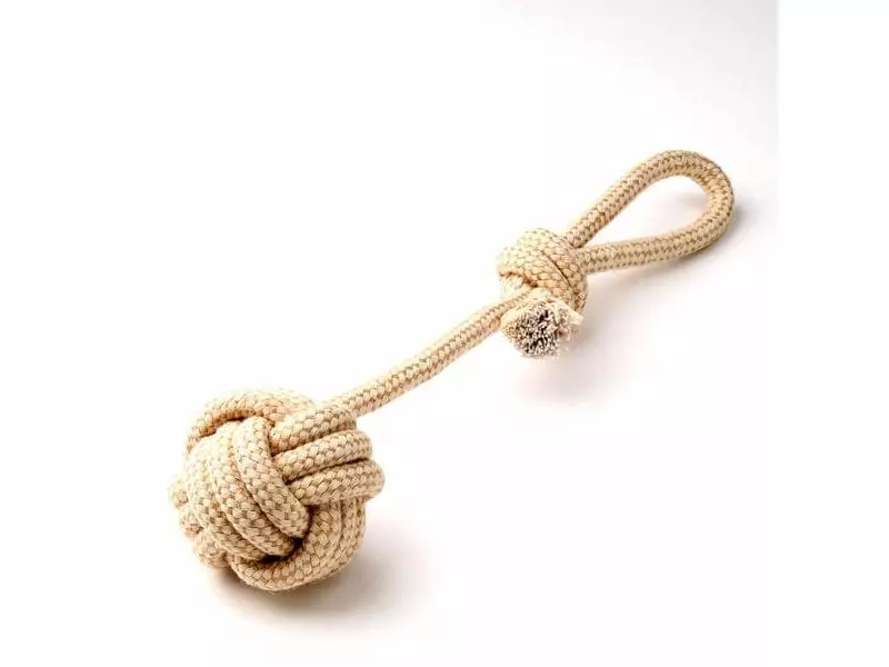 Anijoy Hunde-Spielzeug Braccio 1 Anijoy Hunde-Spielzeug Braccio