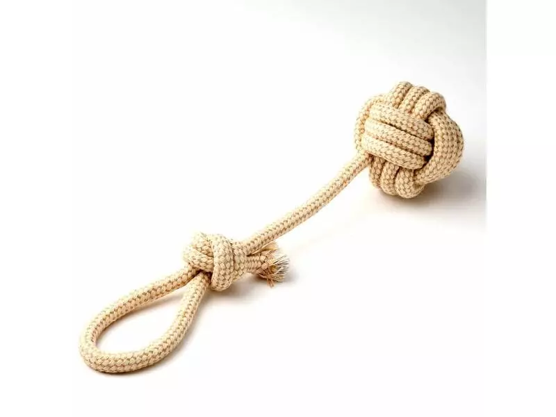 Anijoy Hunde-Spielzeug Braccio 2 Anijoy Hunde-Spielzeug Braccio - Image 2