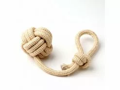 Anijoy Hunde-Spielzeug Braccio 5 Anijoy Hunde-Spielzeug Braccio -Hundewelt Verkäufe 195988579 xxl