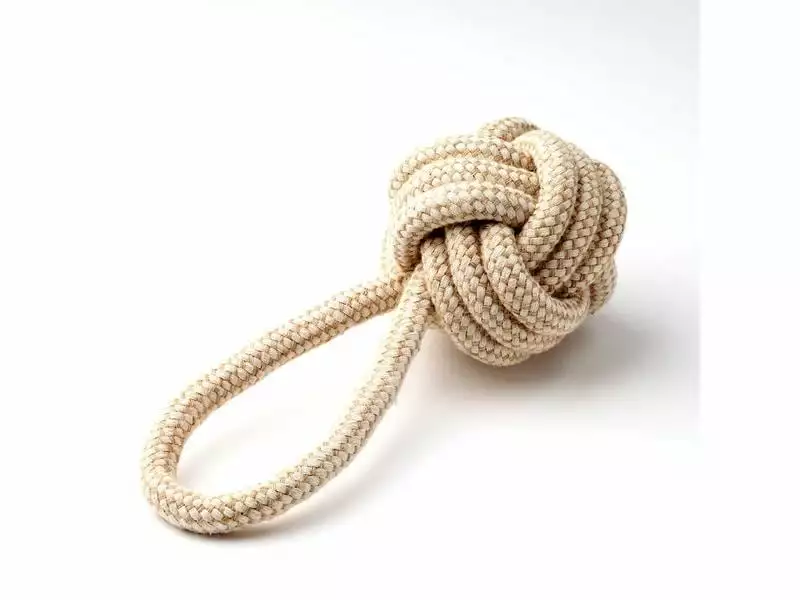 Anijoy Hunde-Spielzeug Bomba 1 Anijoy Hunde-Spielzeug Bomba