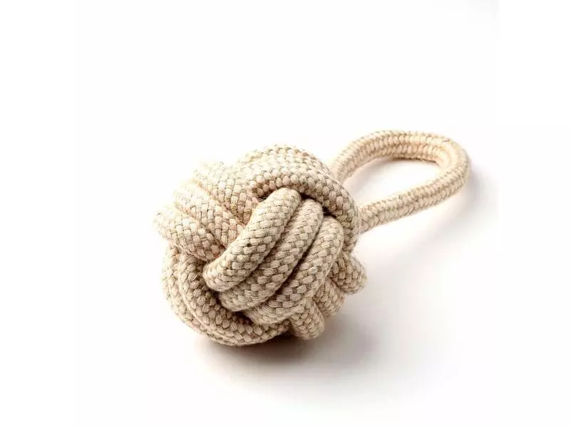 Anijoy Hunde-Spielzeug Bomba 2 Anijoy Hunde-Spielzeug Bomba - Image 2