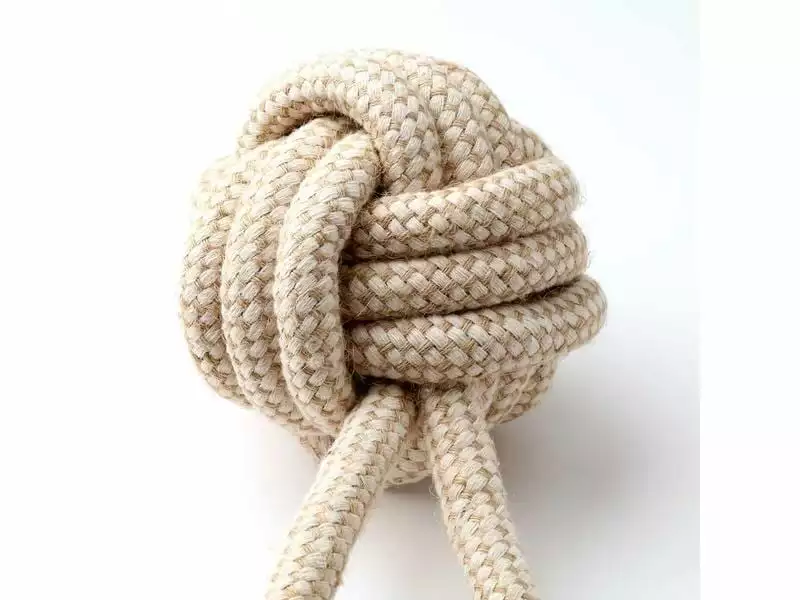 Anijoy Hunde-Spielzeug Bomba 3 Anijoy Hunde-Spielzeug Bomba - Image 3