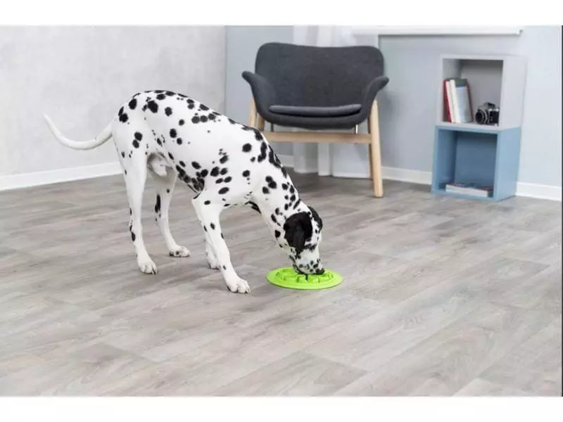 Trixie Futtermatte Slow Feed Silikon, Ø 24 cm 5 Trixie Futtermatte Slow Feed Silikon, Ø 24 cm - Image 5