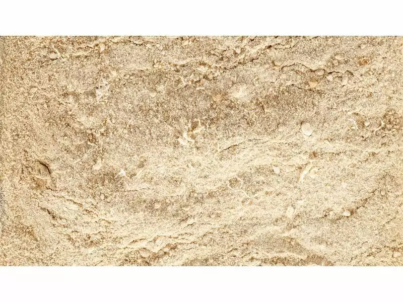 Eric Schweizer Hunde-Nahrungsergänzung Easy Barf Pro Active Pulver, 300 g 2 Eric Schweizer Hunde-Nahrungsergänzung Easy Barf Pro Active Pulver, 300 g - Image 2